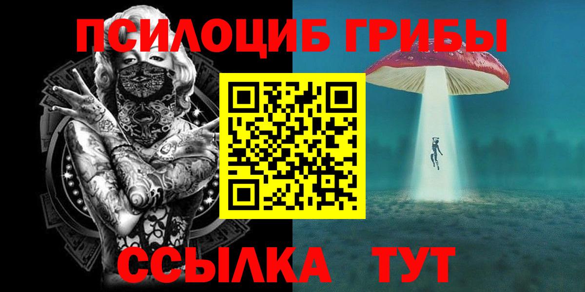 Галлюциногенные грибы Cubensis  закладки  Коряжма  Вход с VPN  Псилоцибиновые грибы мухоморы 